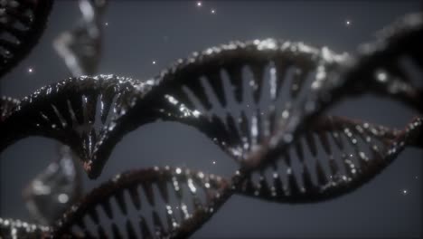 double-helical-structure-of-dna-strand-close-up-animation